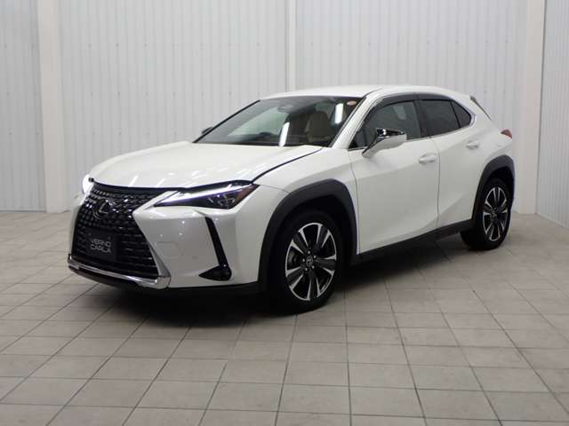 Lexus UX 11