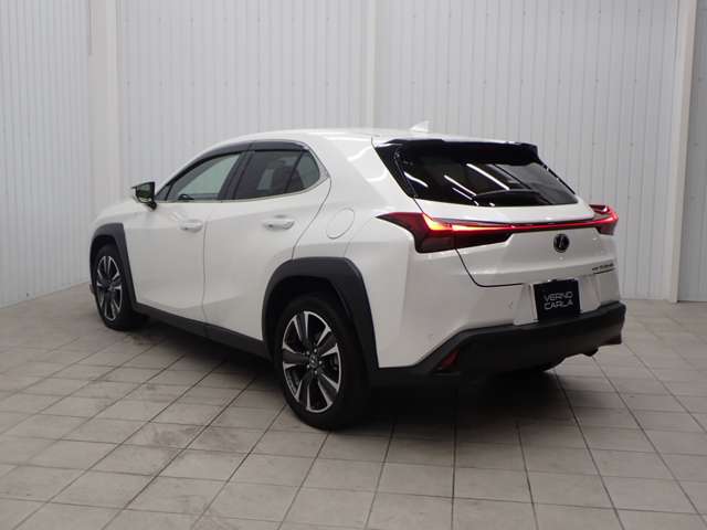 Lexus UX 12