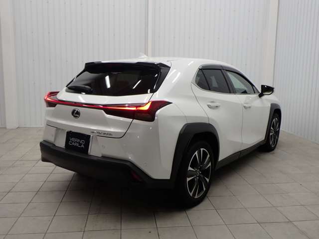 Lexus UX 9