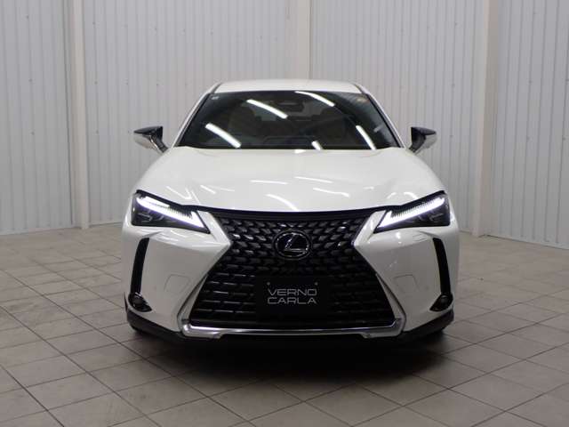 Lexus UX 10