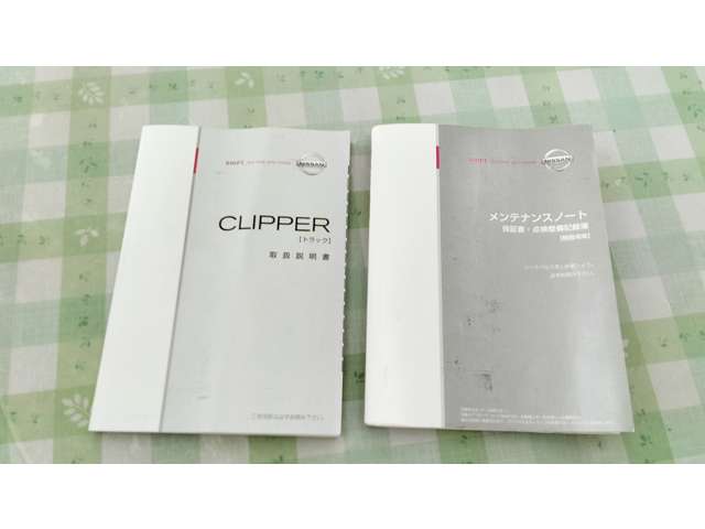 Nissan Clipper Truck 10
