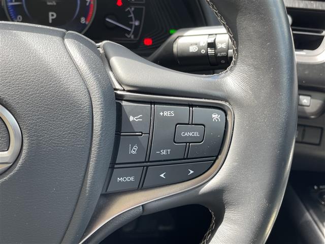 Lexus UX 12