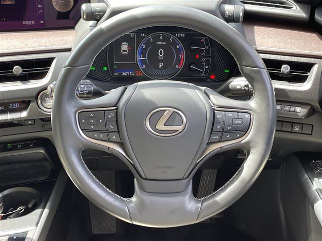Lexus UX 9