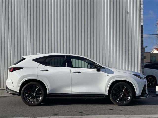 Lexus NX 11