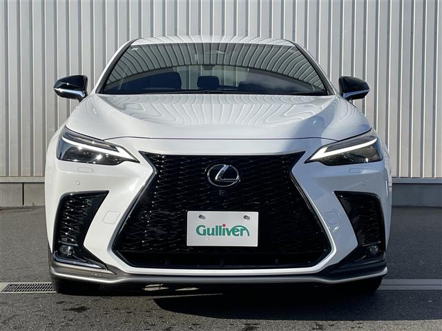 Lexus NX 6