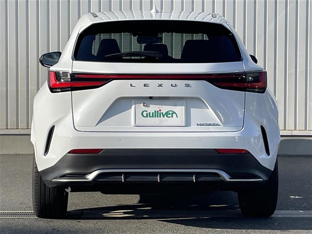 Lexus NX 7