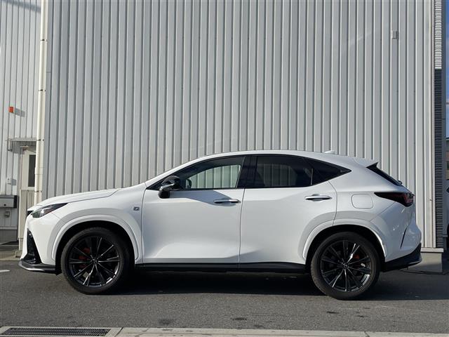 Lexus NX 10