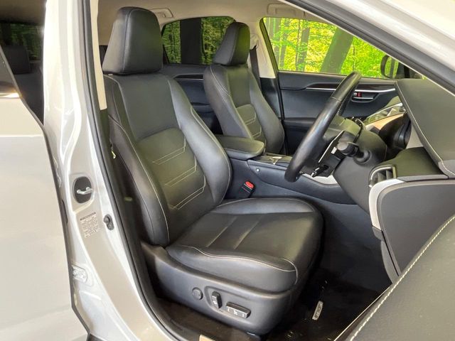 Lexus NX 11