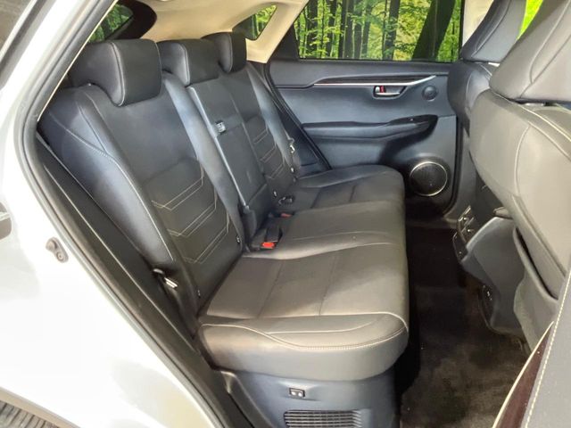 Lexus NX 12