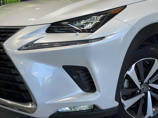 Lexus NX 9