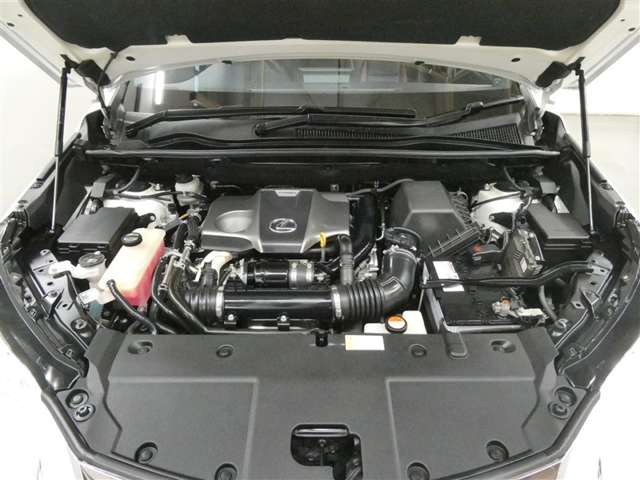 Lexus NX 11