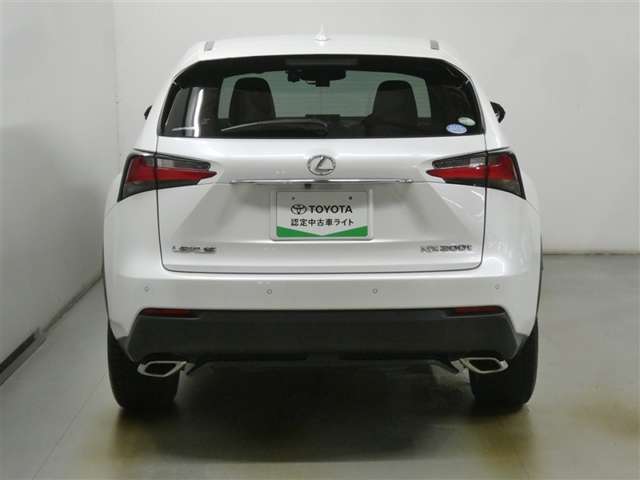 Lexus NX 6