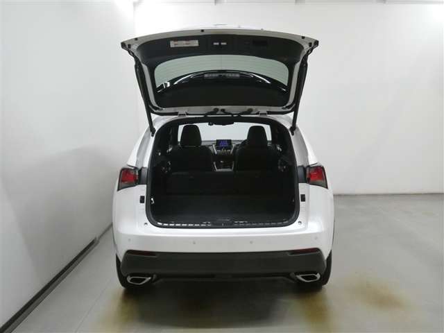 Lexus NX 7