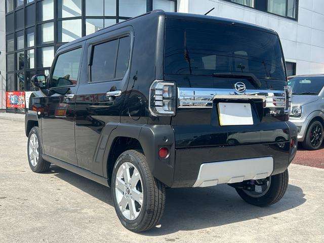 Daihatsu Taft 8