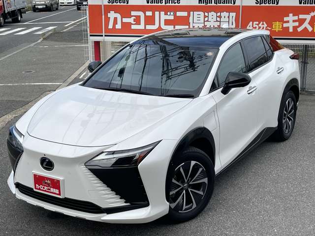 Lexus RZ 11