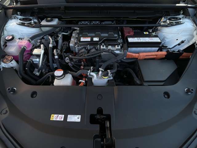 Lexus RZ 12