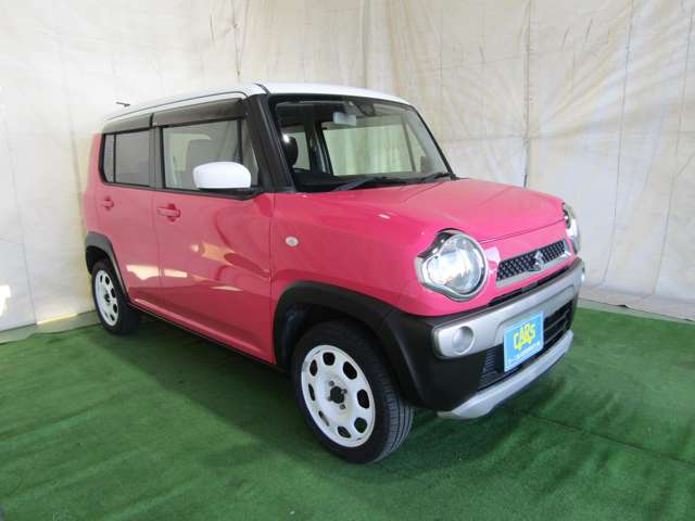 Suzuki Hustler 5