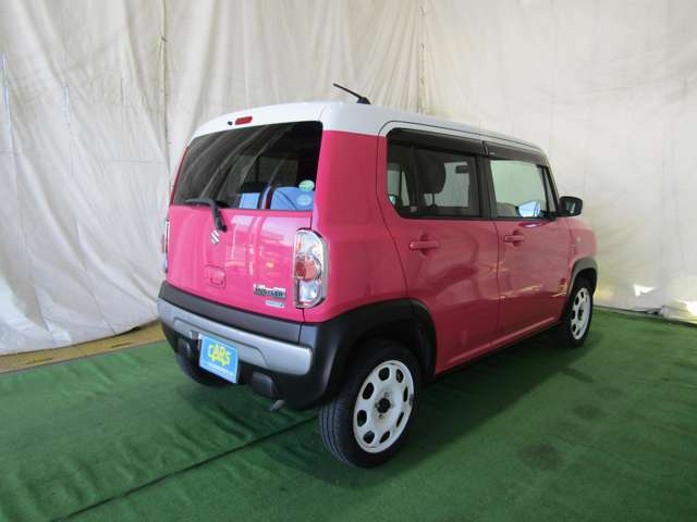 Suzuki Hustler 6