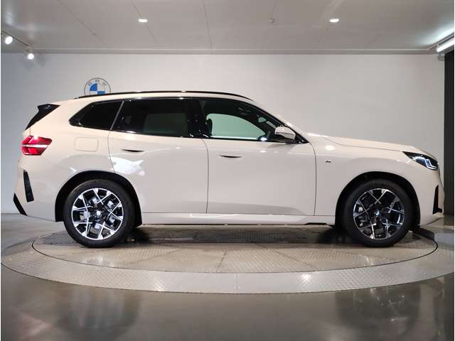 BMW X3 7