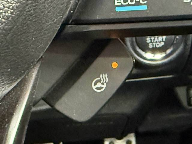 Subaru Crosstrek 9