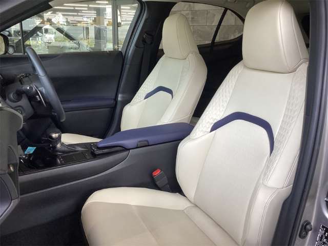 Lexus UX 11