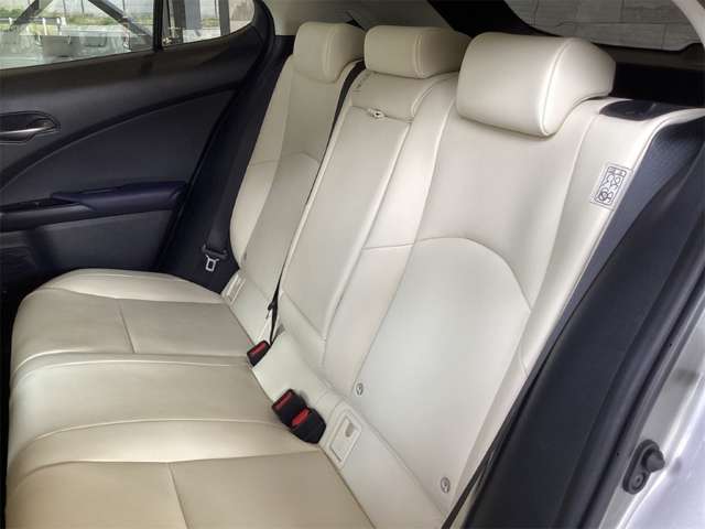 Lexus UX 12