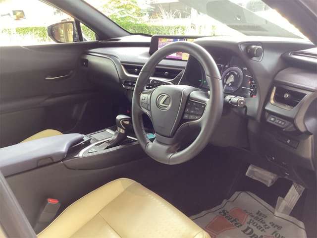 Lexus UX 5