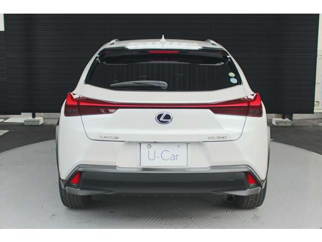 Lexus UX 8