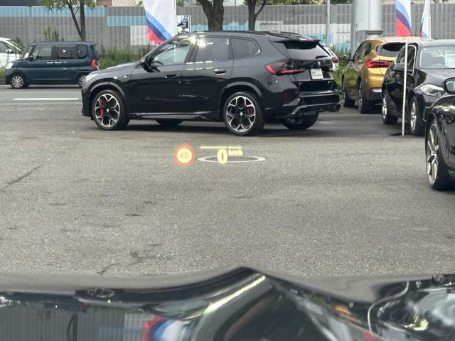 BMW X4 10