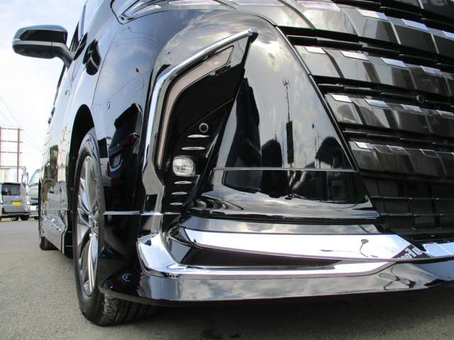 Toyota Alphard 11
