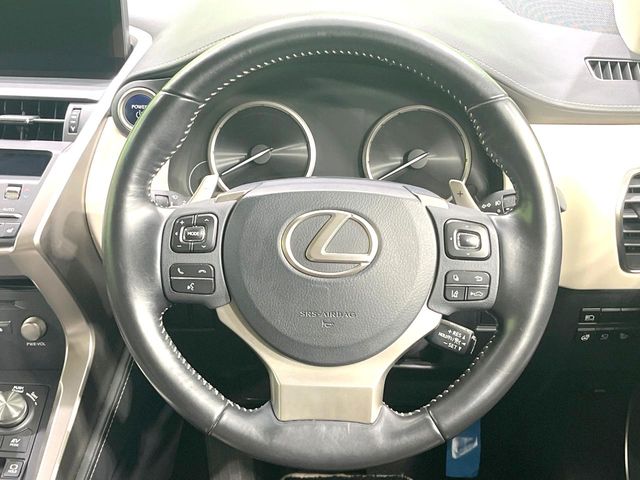 Lexus NX 12