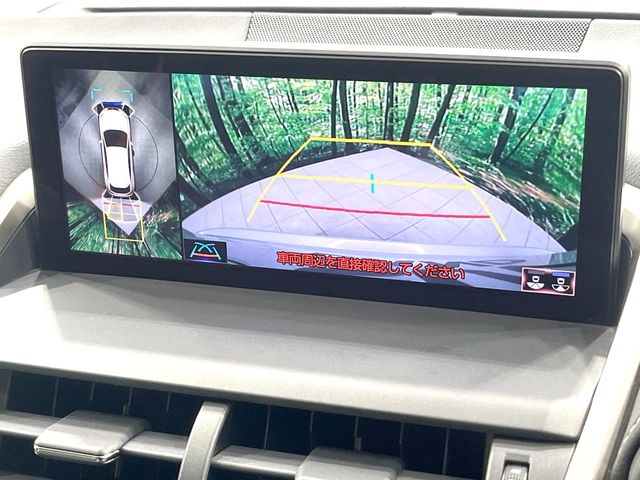 Lexus NX 4