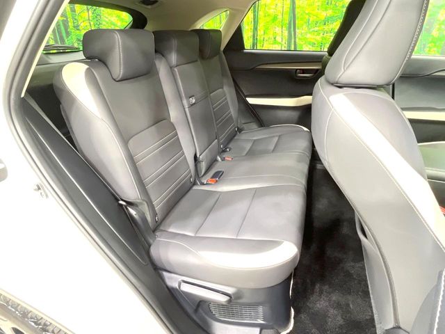 Lexus NX 10