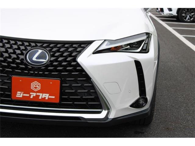 Lexus UX 11