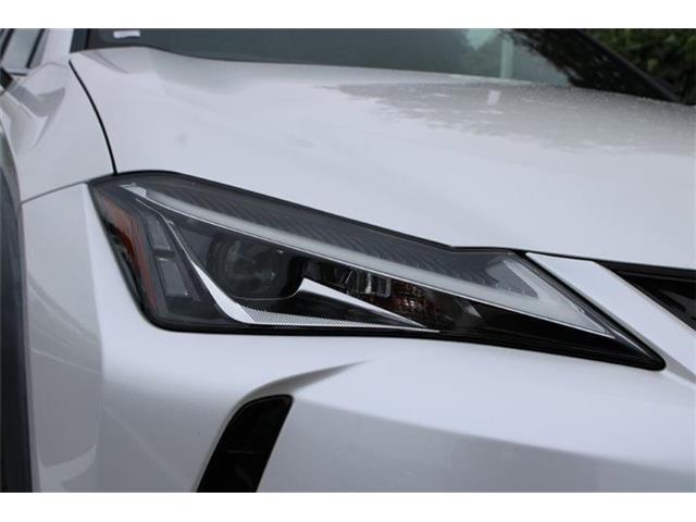 Lexus UX 12