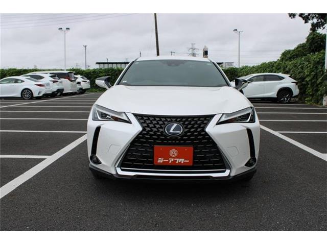 Lexus UX 9