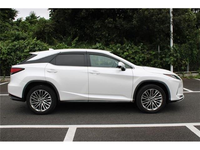 Lexus RX 11