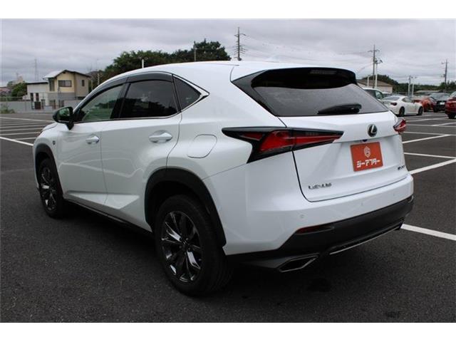Lexus NX 11