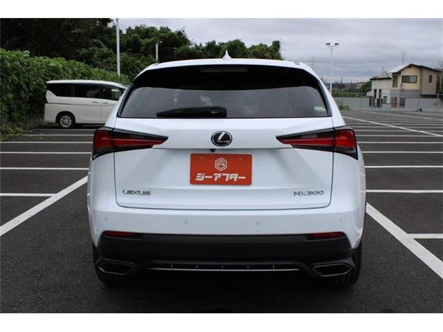 Lexus NX 12