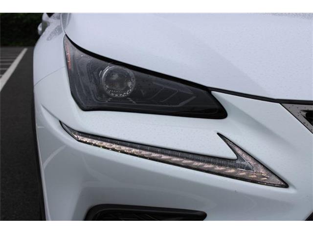 Lexus NX 6