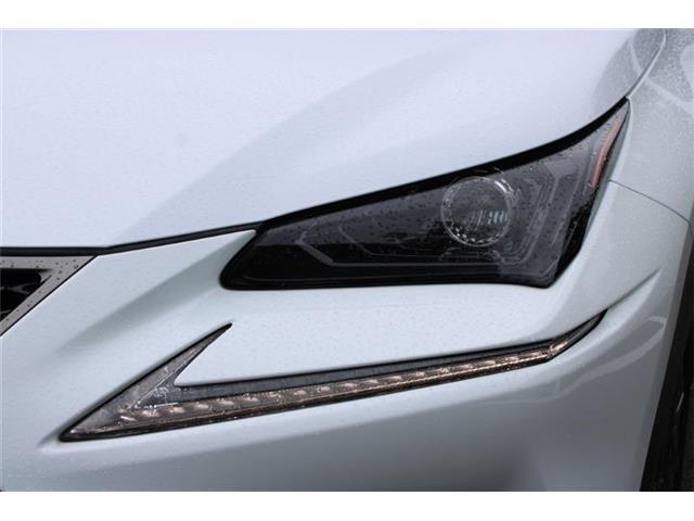 Lexus NX 7
