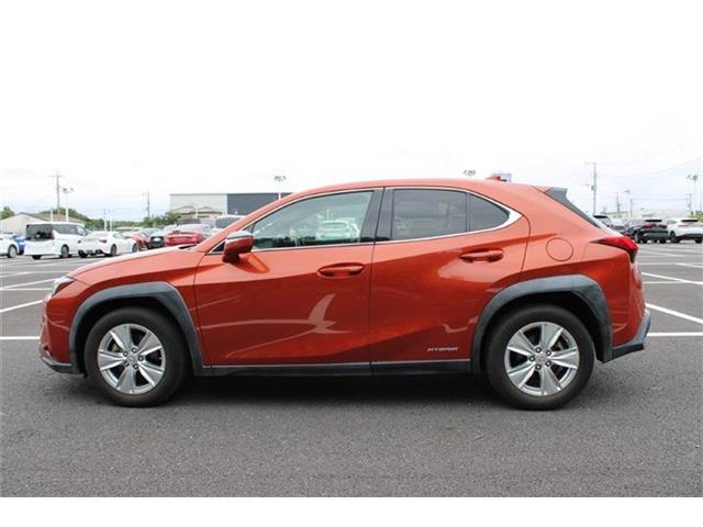 Lexus UX 12