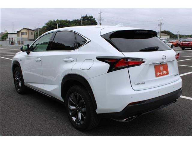 Lexus NX 11