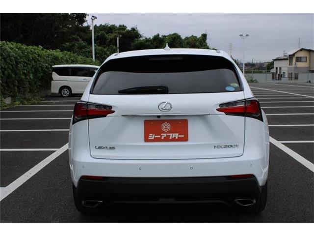 Lexus NX 12