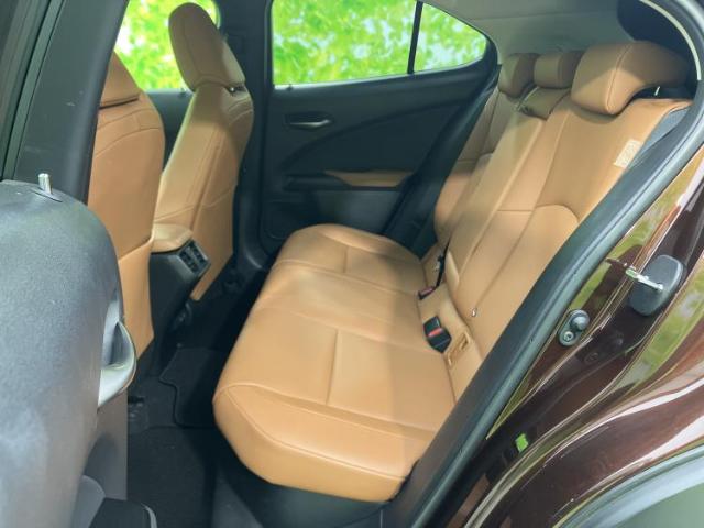Lexus UX 10