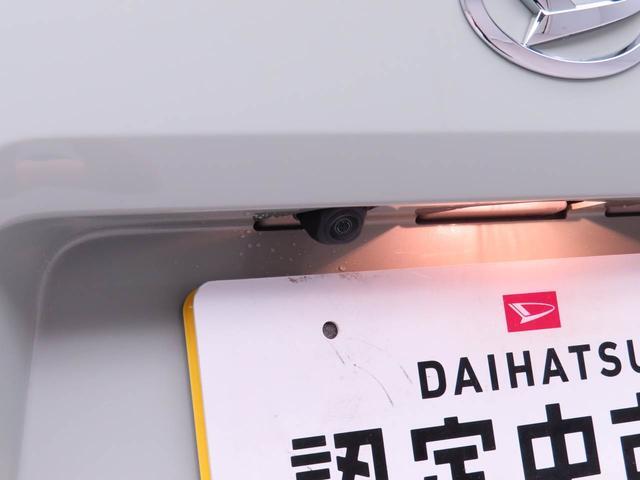 Daihatsu Taft 8