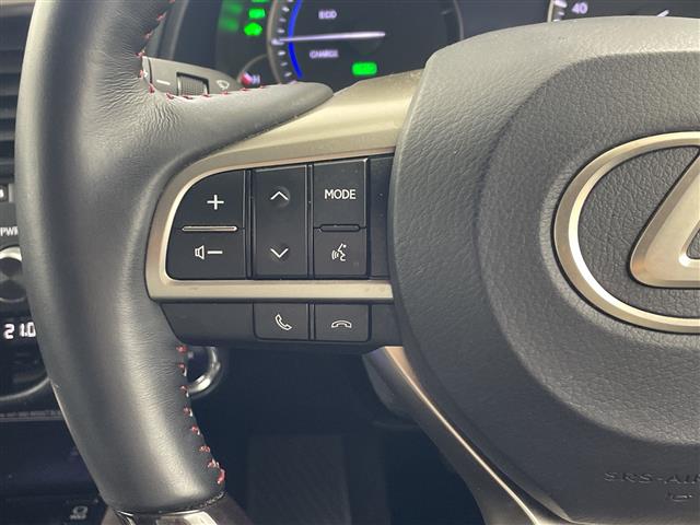 Lexus RX 11