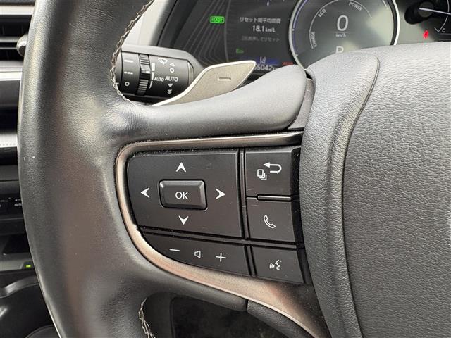 Lexus UX 12