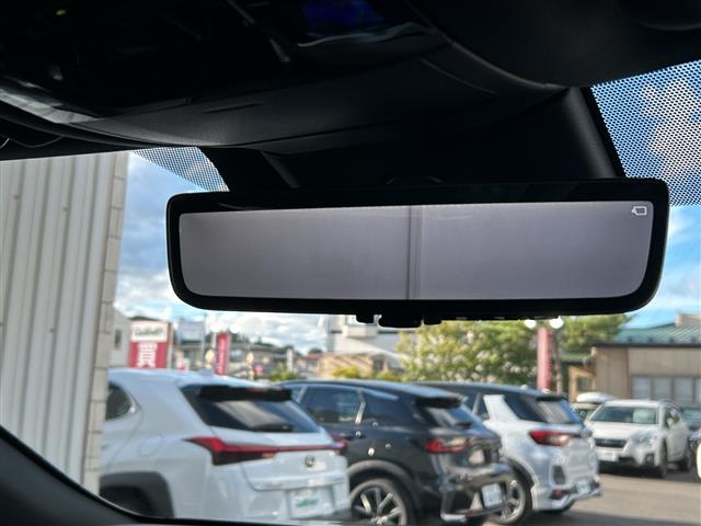Lexus RX 11