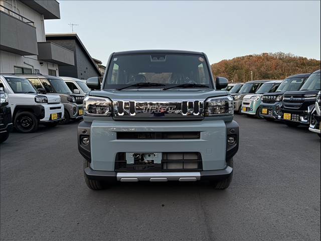 Daihatsu Taft 8